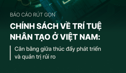 Báo cáo rút gọn “Chính sách về trí tuệ nhân tạo ở Việt Nam: Cân bằng giữa thúc đẩy phát triển và quản trị rủi ro”